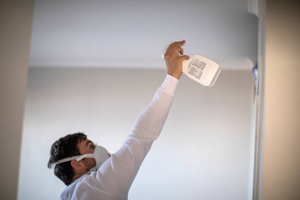 Best Crawl Space Mold Removal  in Gluckstadt, MS